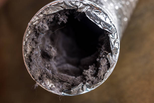 Best Affordable Duct Cleaning Services  in Benton, IL